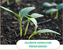 image of plant and word Celebrate Agriculture Poster Contest